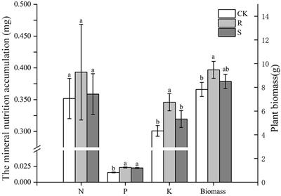 Indigenous and commercial isolates of arbuscular mycorrhizal fungi display differential effects in Pyrus betulaefolia roots and elicit divergent transcriptomic and metabolomic responses